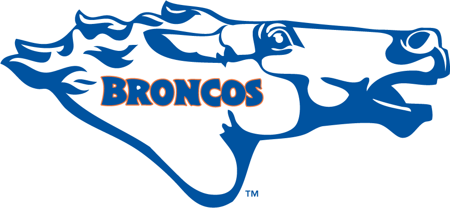 Boise State Broncos 1976-1980 Secondary Logo diy iron on heat transfer